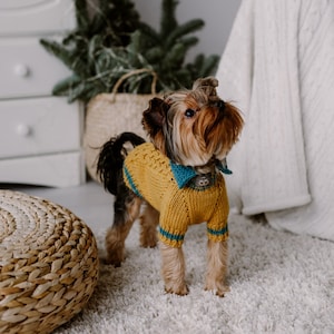 Trui voor kleine honden Handgebreide hondenkleding Wollen Handgebreide puppykraagtrui Kabelgebreide Yorkshire terrier-truien