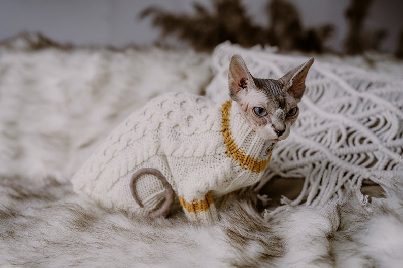 White Cat Sweater Hand Knit Alpaca Wool Sphynx Cat Jumper Pet Etsy