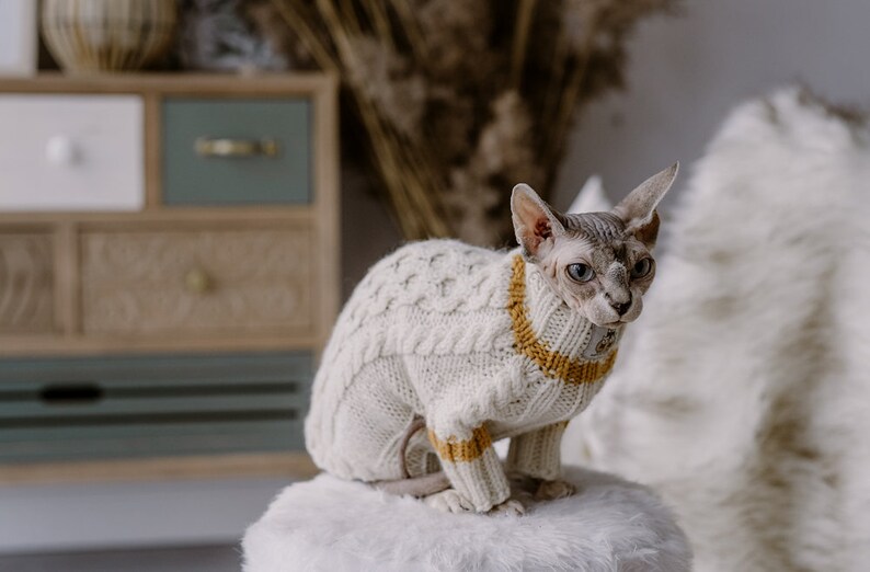 White Cat Sweater Hand Knit Alpaca Wool Sphynx Cat Jumper Pet Etsy