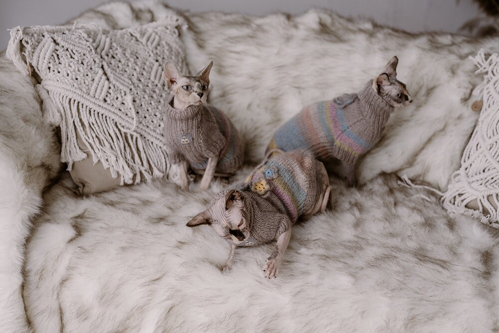 Sphynx Cat Winter Sweater - Warm Fluffy Knit For Hairless Cats (Green, XS 1.5-2.5 Lbs) - View #9