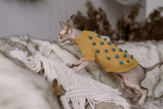 Blauwe trui voor kat Devon rex kleding Haarloze kat popcorn hand gebreide trui Sphynx kattenkleding Alpaca wol top Etsy Belgie