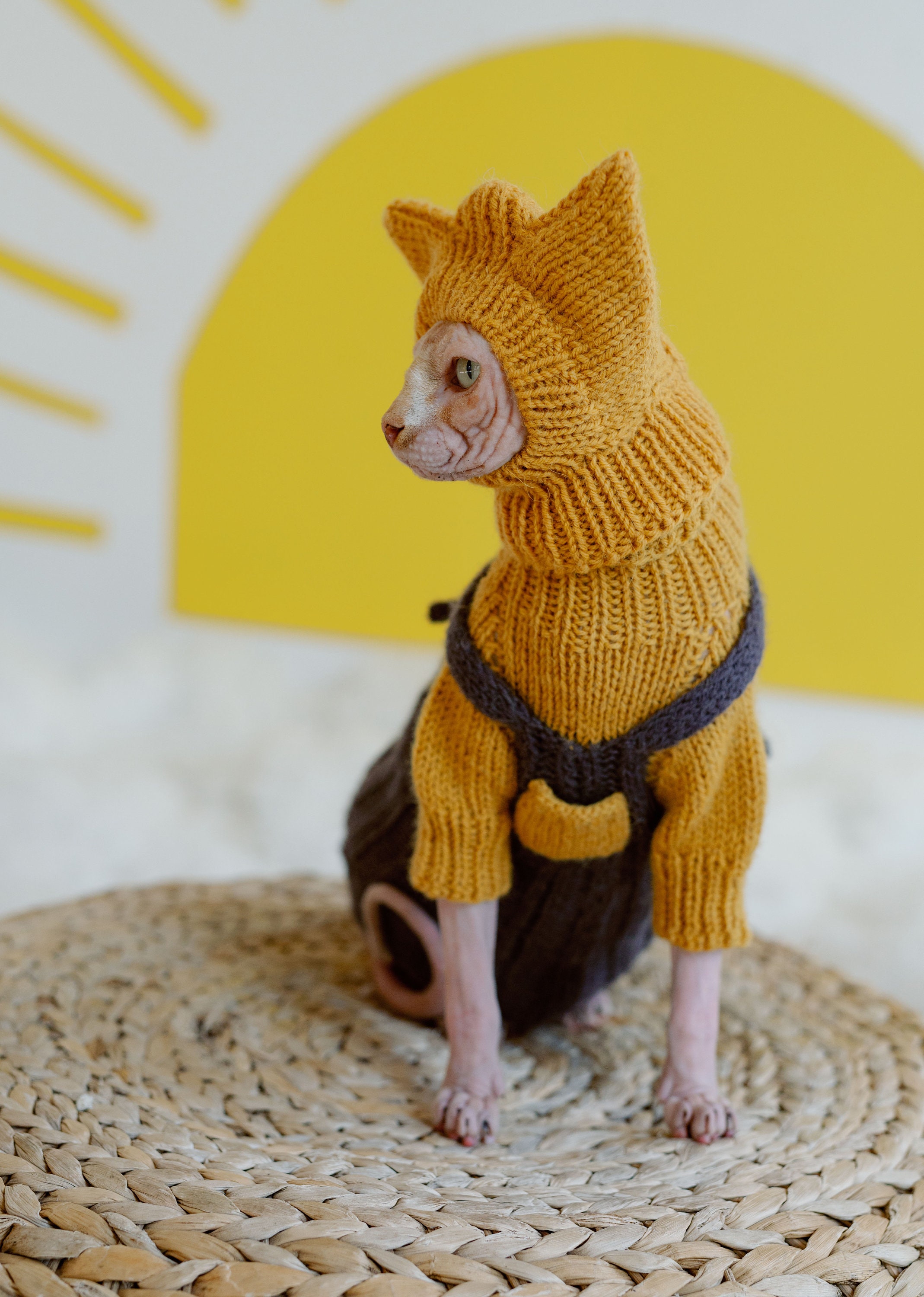 Hand Knit Sphynx Cat Jumpsuit Alpaca Wool Sweater for Cat 