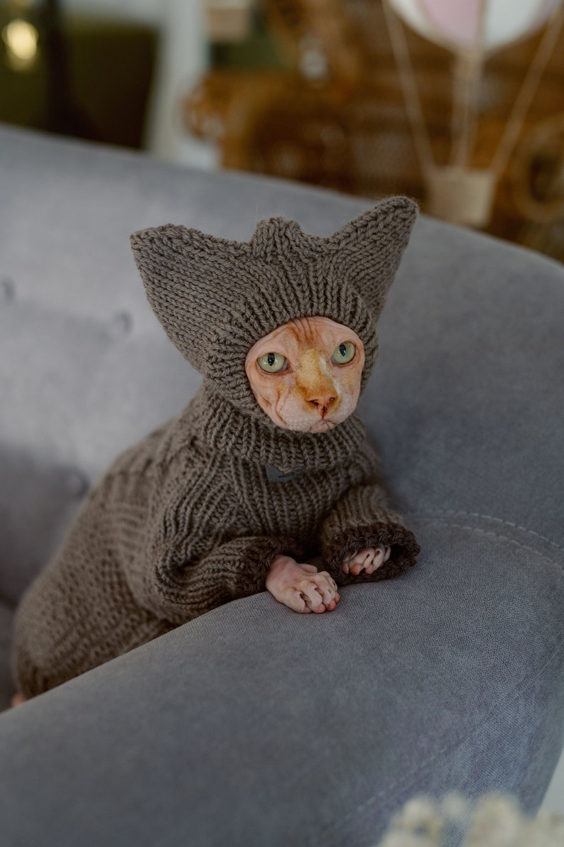 K&ouml;nnte beinhalten: Eine haarlose Katze tr&auml;gt einen braunen Strickpullover und eine M&uuml;tze. Die Katze sitzt auf einem grauen Sofa.