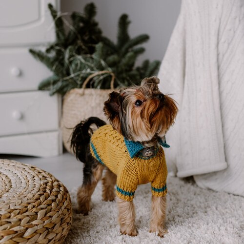 hand knit dog sweaters
