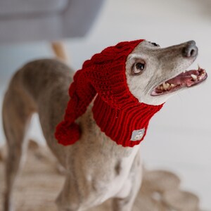 May include: A grey whippet dog wearing a red knitted hat and scarf. The dog is looking up and has its mouth open.