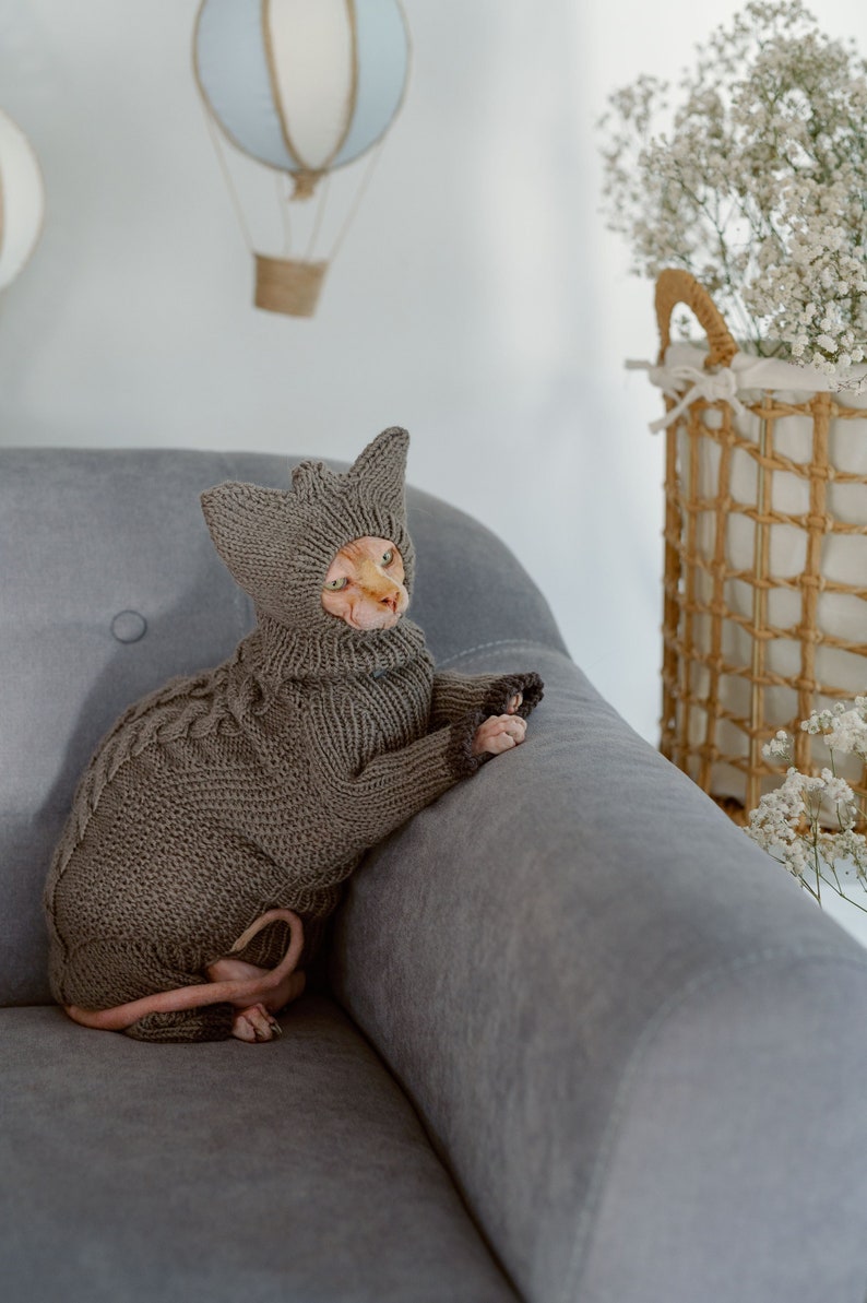 K&ouml;nnte beinhalten: Eine haarlose Katze tr&auml;gt einen grauen Strickpullover und eine M&uuml;tze und sitzt auf einem grauen Sofa. Die Katze schaut nach rechts aus dem Bild.