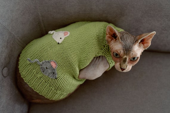 Gilet pour chat new arrivals