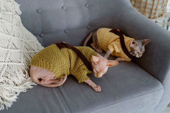 Pull pour chat avec poche pour friandises Tricot a la main Sphynx vetements pour chat Laine merinos Coton tricote sans poils vetements pour chat Etsy France
