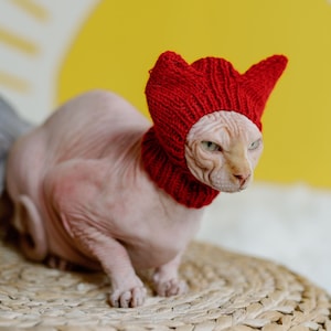 Cat hat Hand knit Sphynx cat accessories Pet beanie Crochet hat for hairless cats