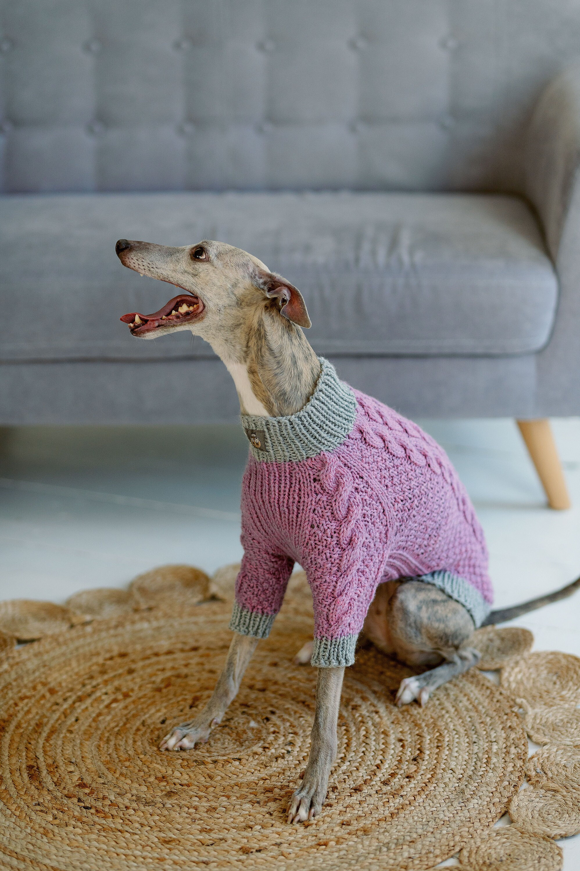 Italian Greyhound Clothing Large Dog Sweater Wool Whippet Clothes
