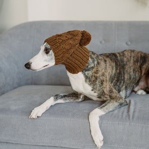 May include: A brown knitted dog hat with a pom pom on top. The hat is on a grey couch with a dog wearing it.