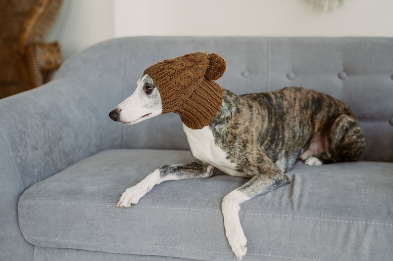May include: A brown knitted dog hat with a pom pom on top. The hat is on a grey couch with a dog wearing it.