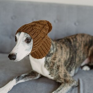 May include: A brown knitted hat with a cable knit pattern is worn by a grey and white dog. The dog is lying on a grey couch.