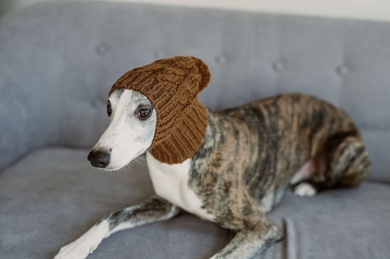May include: A brown knitted hat with a cable knit pattern is worn by a grey and white dog. The dog is lying on a grey couch.