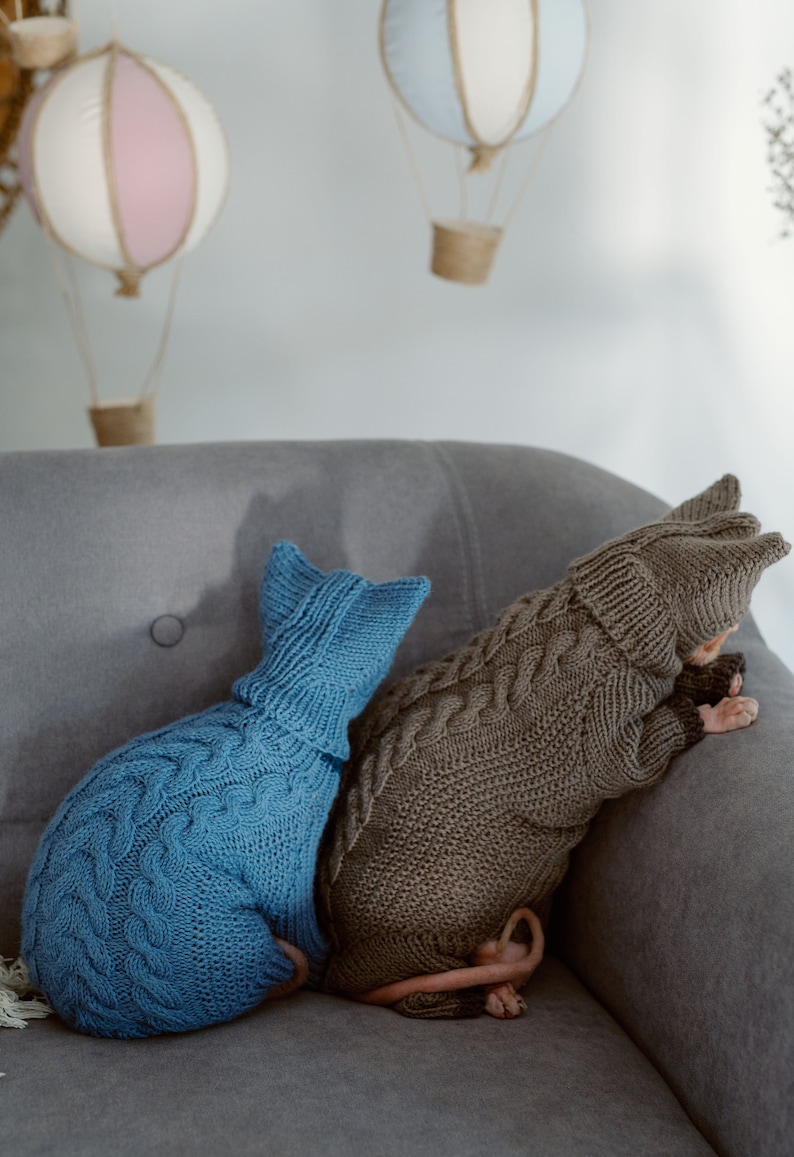 K&ouml;nnte beinhalten: Zwei haarlose Katzen tragen gestrickte Pullover. Die Katze links tr&auml;gt einen blauen Pullover und die Katze rechts tr&auml;gt einen braunen Pullover. Die Katzen sitzen auf einem grauen Sofa.