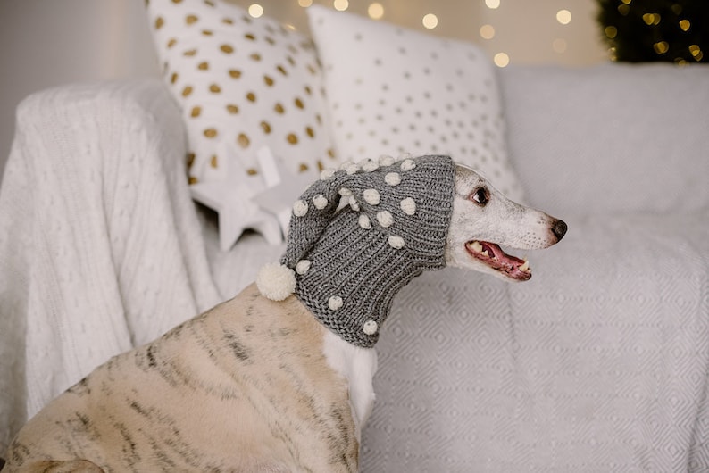 Wolle Hund Mütze Mütze Pom Pom Hund Snood Hand stricken Etsy