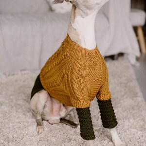 May include: A white and tan dog wearing a brown cable knit sweater with green sleeves. The dog is sitting on a white fluffy rug.