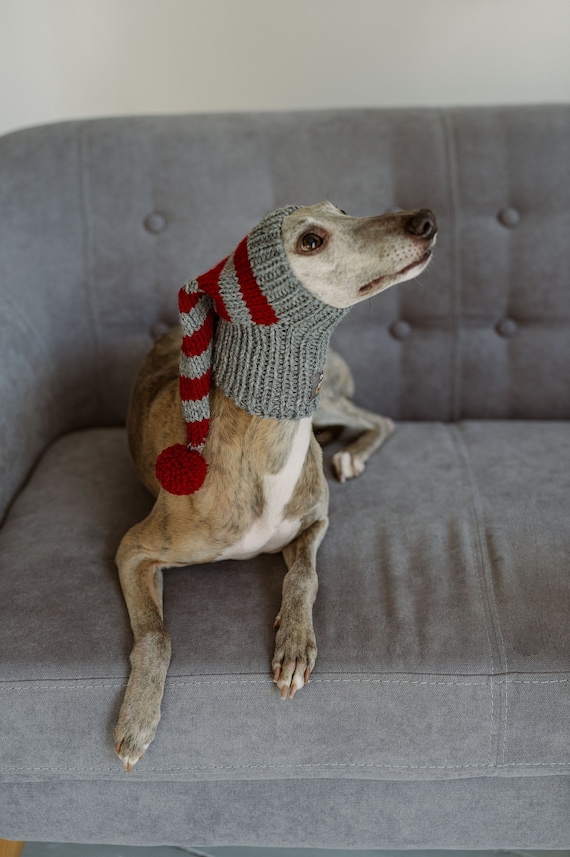 Italian Greyhound Hat Whippet Ear Warmer Wool Hand Knit Snood