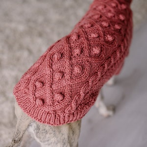 May include: A pink knitted dog sweater with a cable knit pattern and textured bobbles.