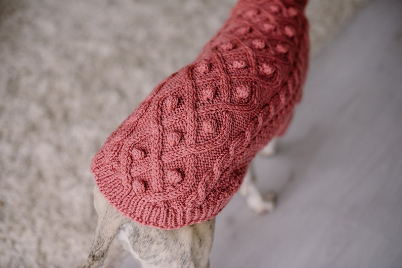 May include: A pink knitted dog sweater with a cable knit pattern and textured bobbles.