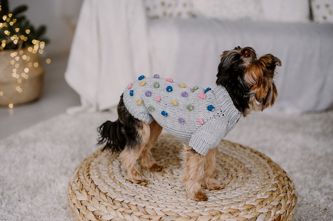 Toddler Girl and Dog Matching Merino Wool Sweaters Hand Knit Etsy