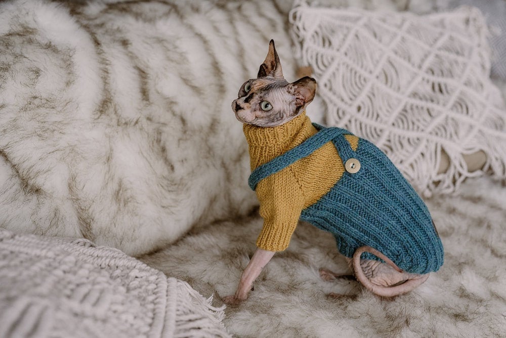 Alpaca Wool Cat Sweater Hand Knit Sphynx Cat Turtle Neck 