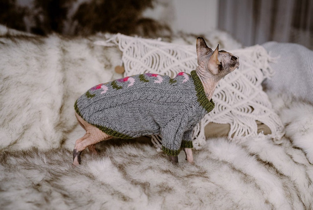 Chaton Tricot Pull En Poil De Chat Pull Chat Pull Chat Sphynx En