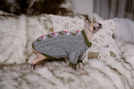 Sweater for Cat  Sphynx Cat Sweater, College Style Cat Sweater