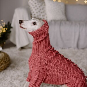 May include: A white dog wearing a pink knitted sweater with a cable knit pattern. The dog is sitting on a fluffy white rug.