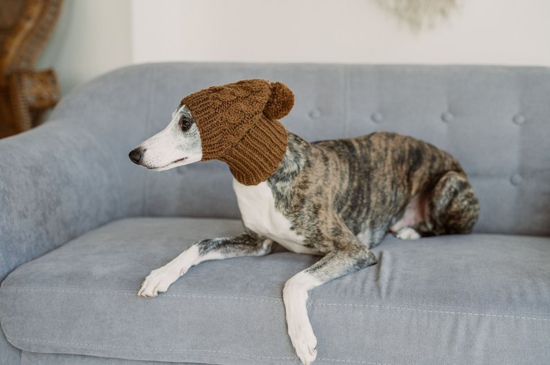 May include: A brown knitted hat with a pom pom on top is worn by a grey and white dog. The dog is lying on a grey couch.