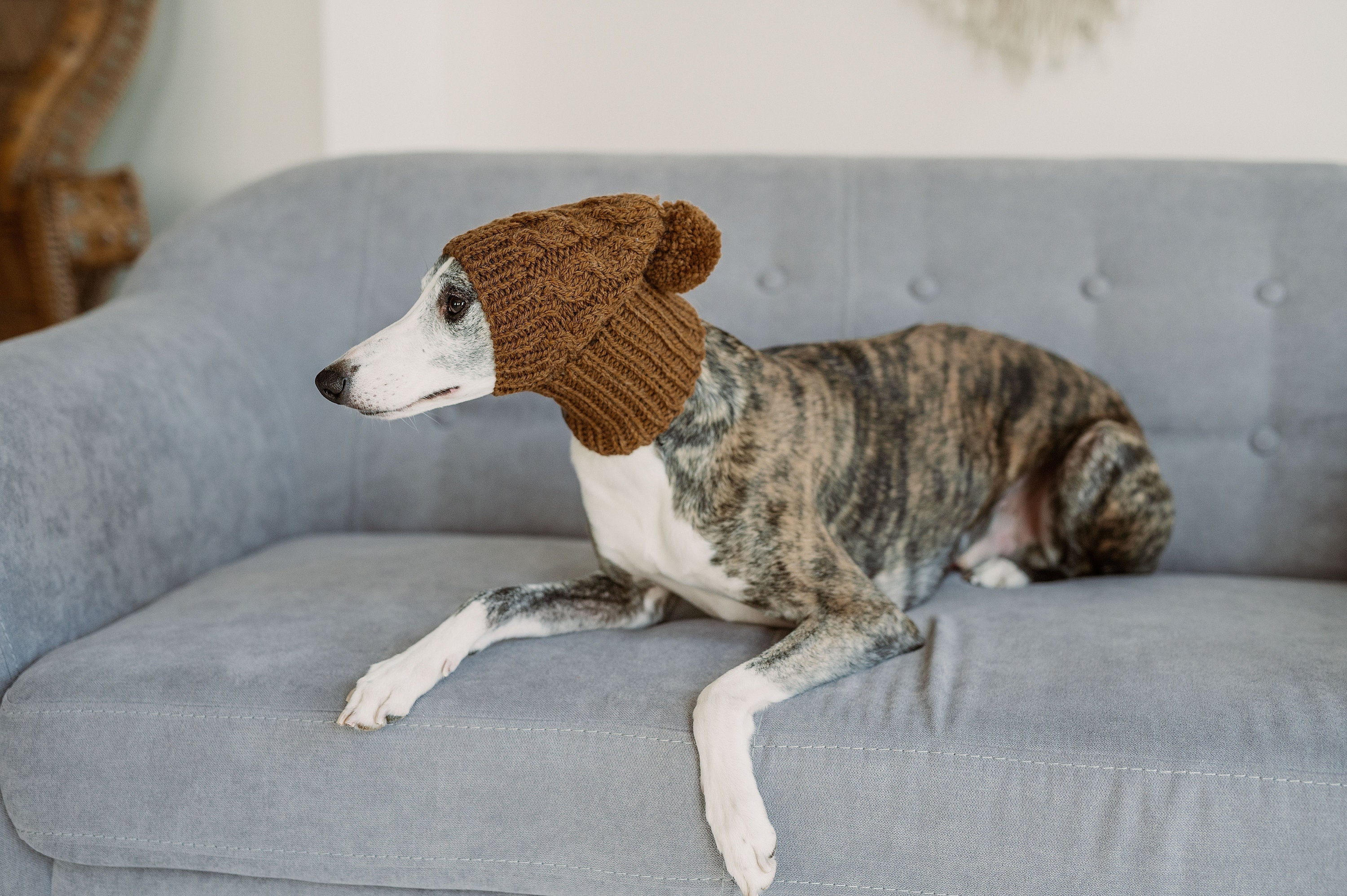 Greyhound beanie cheap baby