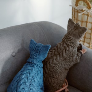 K&ouml;nnte beinhalten: Zwei Katzen tragen gestrickte Pullover. Die Katze links tr&auml;gt einen blauen Pullover mit Zopfmuster. Die Katze rechts tr&auml;gt einen braunen Pullover mit Zopfmuster.