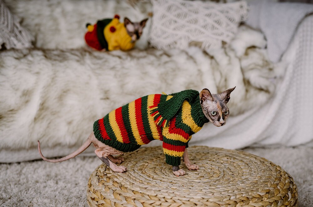 Hairless cat hand knit sweater with scarf Warm striped sphynx Etsy
