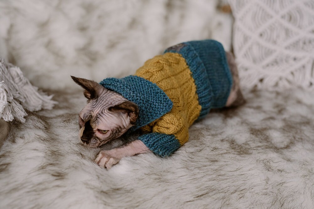 Alpaca Wool Cat Sweater Hand Knit Sphynx Cat Turtle Neck 