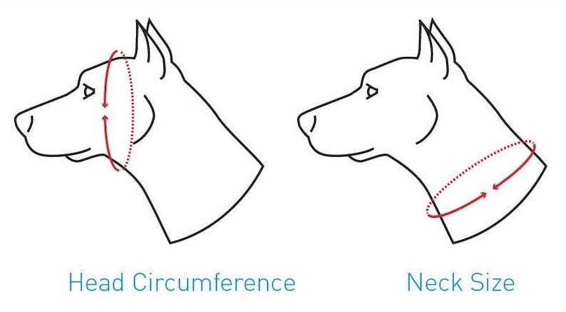 May include: Diagram showing how to measure a dog's head circumference and neck size. The head circumference is measured around the widest part of the dog's head, just behind the ears. The neck size is measured around the dog's neck, just below the ears.