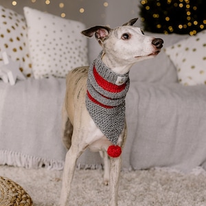Hand knit dog snood Whippet scarf Wool pom pom Greyhound snood Dog neck warmer