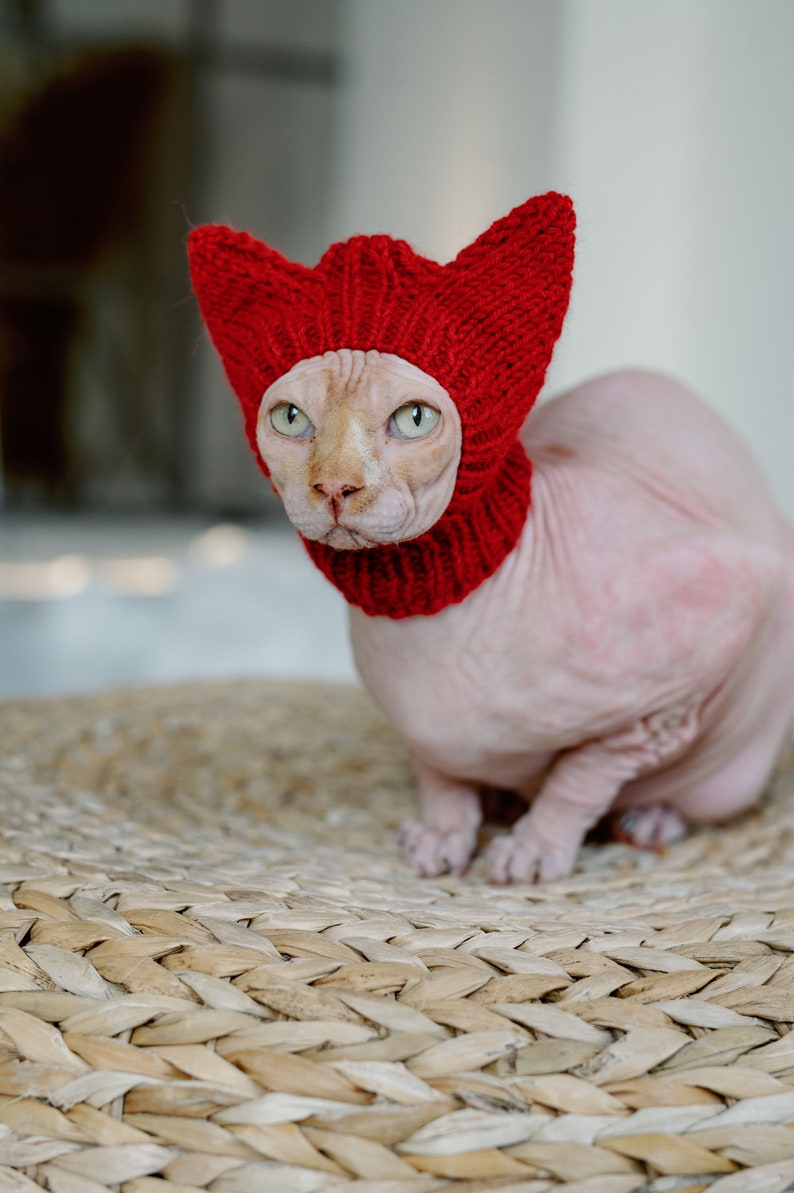 Cat Hat Hand Knit Pet Beanie Sphynx Cat Accessories Crochet Etsy