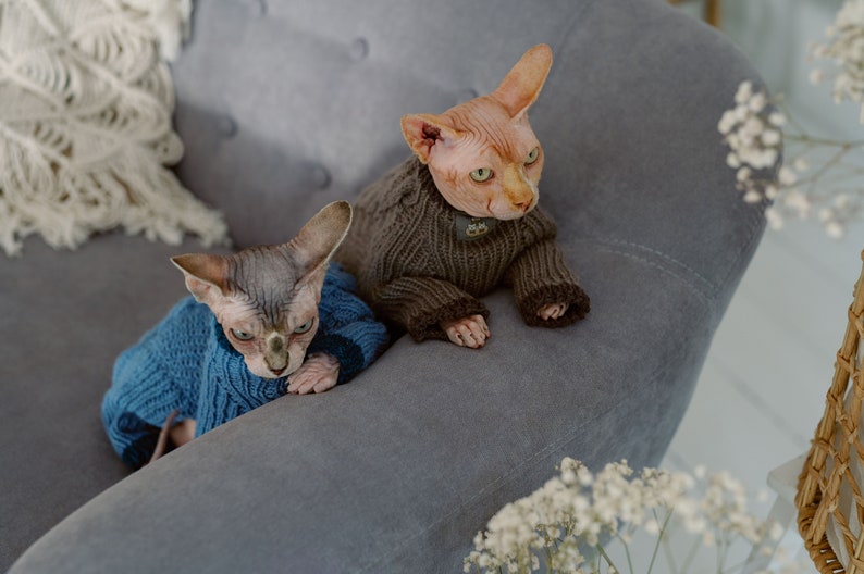 K&ouml;nnte beinhalten: Zwei haarlose Katzen tragen gestrickte Pullover. Die Katze links tr&auml;gt einen blauen Pullover und die Katze rechts tr&auml;gt einen braunen Pullover. Beide Katzen sitzen auf einem grauen Sofa.
