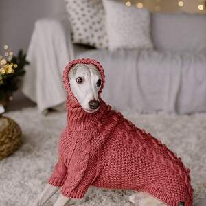 May include: A small, white dog wearing a pink knitted sweater with a cable knit pattern. The dog is sitting on a light brown rug.