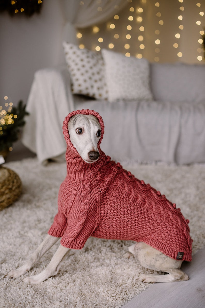 May include: A small, white dog wearing a pink knitted sweater with a cable knit pattern. The dog is sitting on a light brown rug.