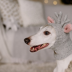Rentier Hund Mütze Handstrickhund Whippet Ohrwärmer Gestrickter Snood mit Geweih Windhundschal