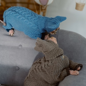 K&ouml;nnte beinhalten: Zwei haarlose Katzen tragen gestrickte Pullover. Eine Katze tr&auml;gt einen blauen Pullover und die andere einen braunen Pullover. Die Katzen sitzen auf einem grauen Sofa.