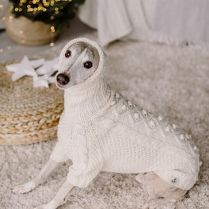 May include: A white dog wearing a white knitted sweater with a turtleneck and a textured pattern. The dog is sitting on a white fluffy rug.