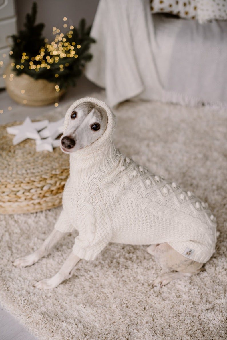 May include: A white dog wearing a white knitted sweater with a turtleneck and a textured pattern. The dog is sitting on a white fluffy rug.