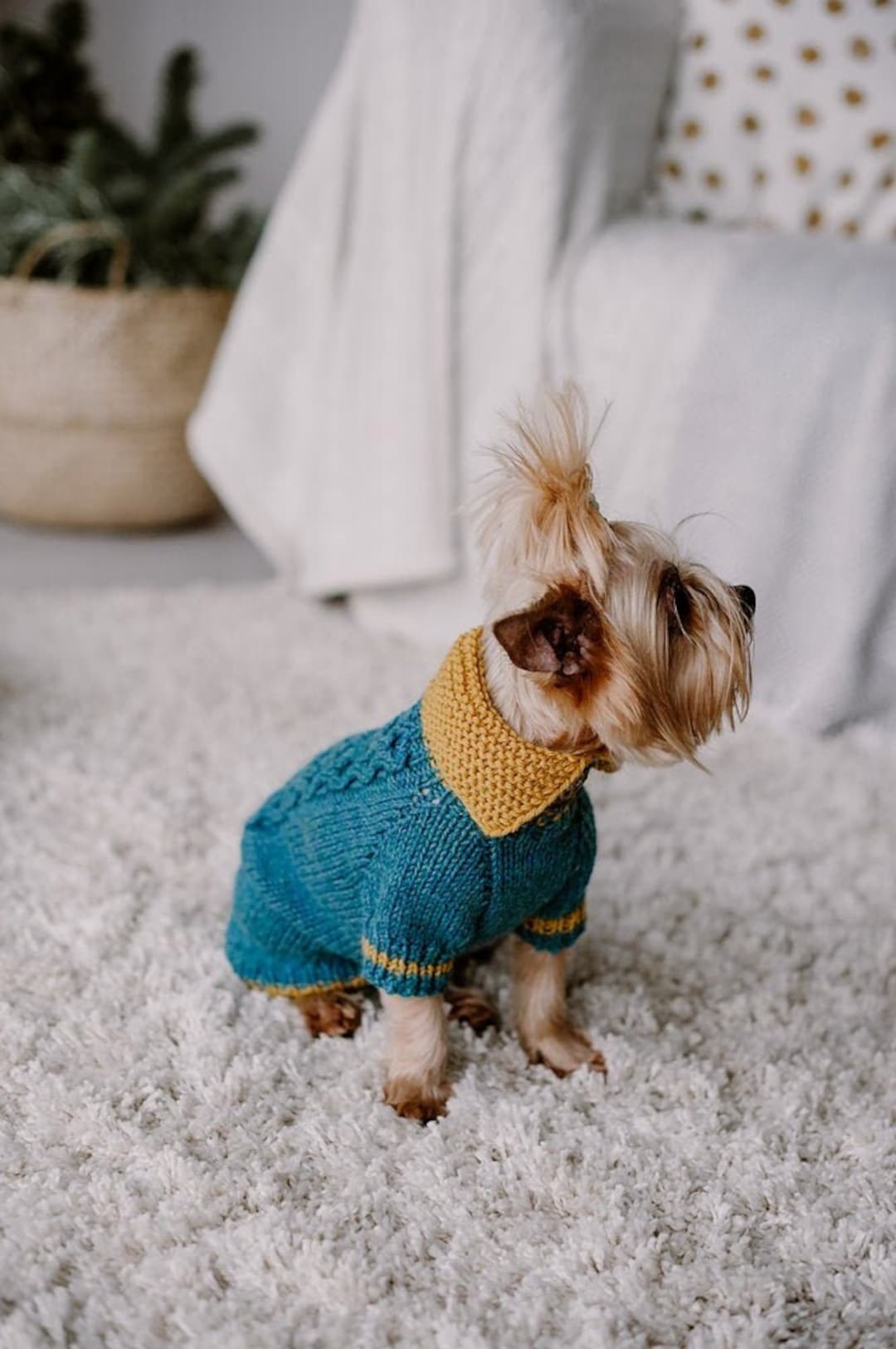 Collier de pull pour chien en tricot torsadé Pull Yorkshire