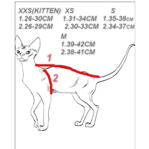 K&ouml;nnte beinhalten: Linienzeichnung einer Katze mit roten Linien, die angeben, wo die Gr&ouml;&szlig;e gemessen werden soll. Die Ma&szlig;e sind in Zentimetern f&uuml;r die Gr&ouml;&szlig;en XXS (Kitten), XS, S und M angegeben.