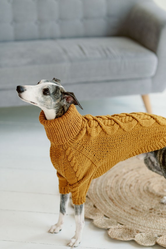 Beige Cable Knit Dog Sweater | PupRWear Dog Boutique