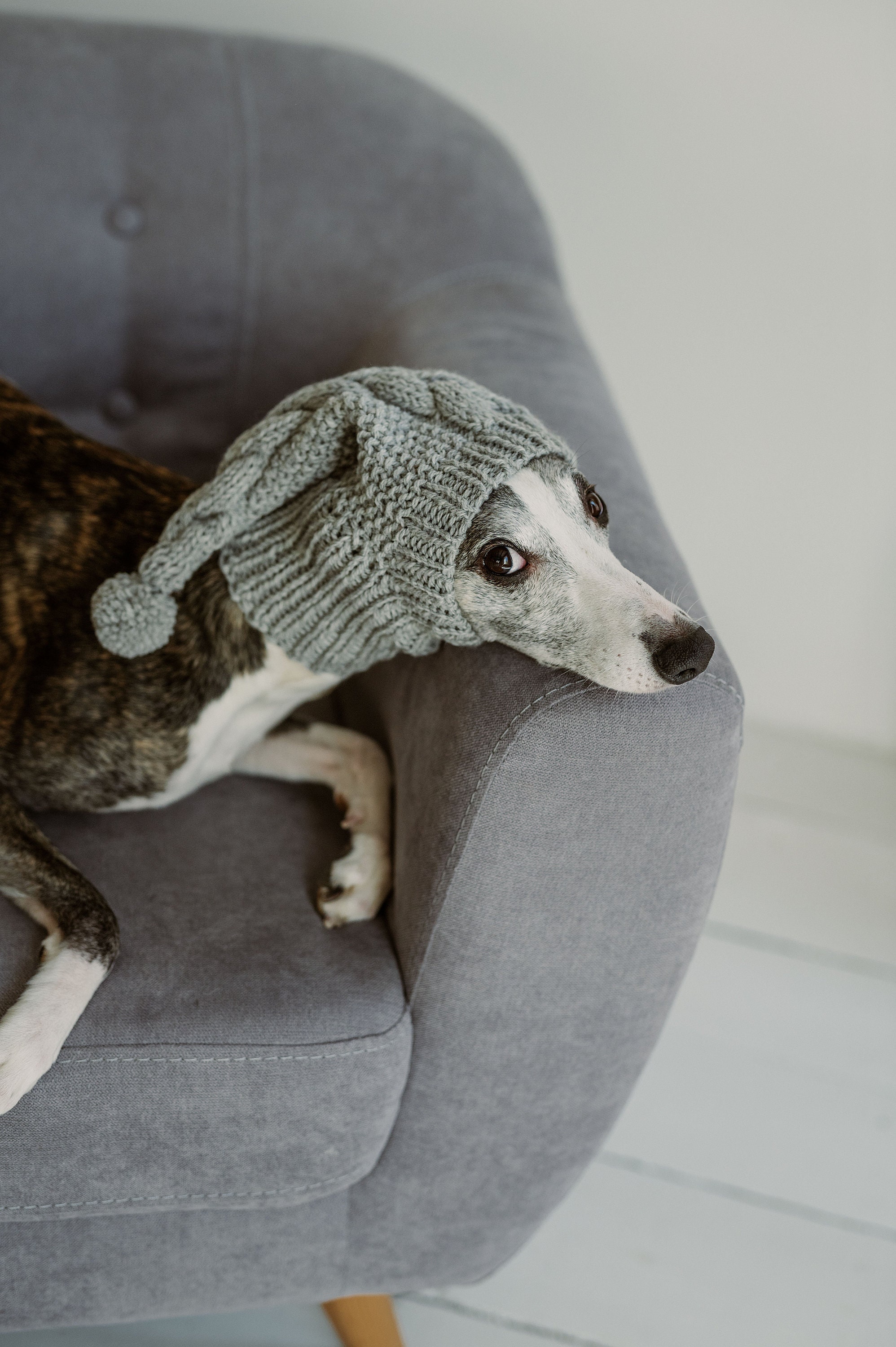 Italian Greyhound Whippet Hat With Fur Ball Pet Hat In Winter