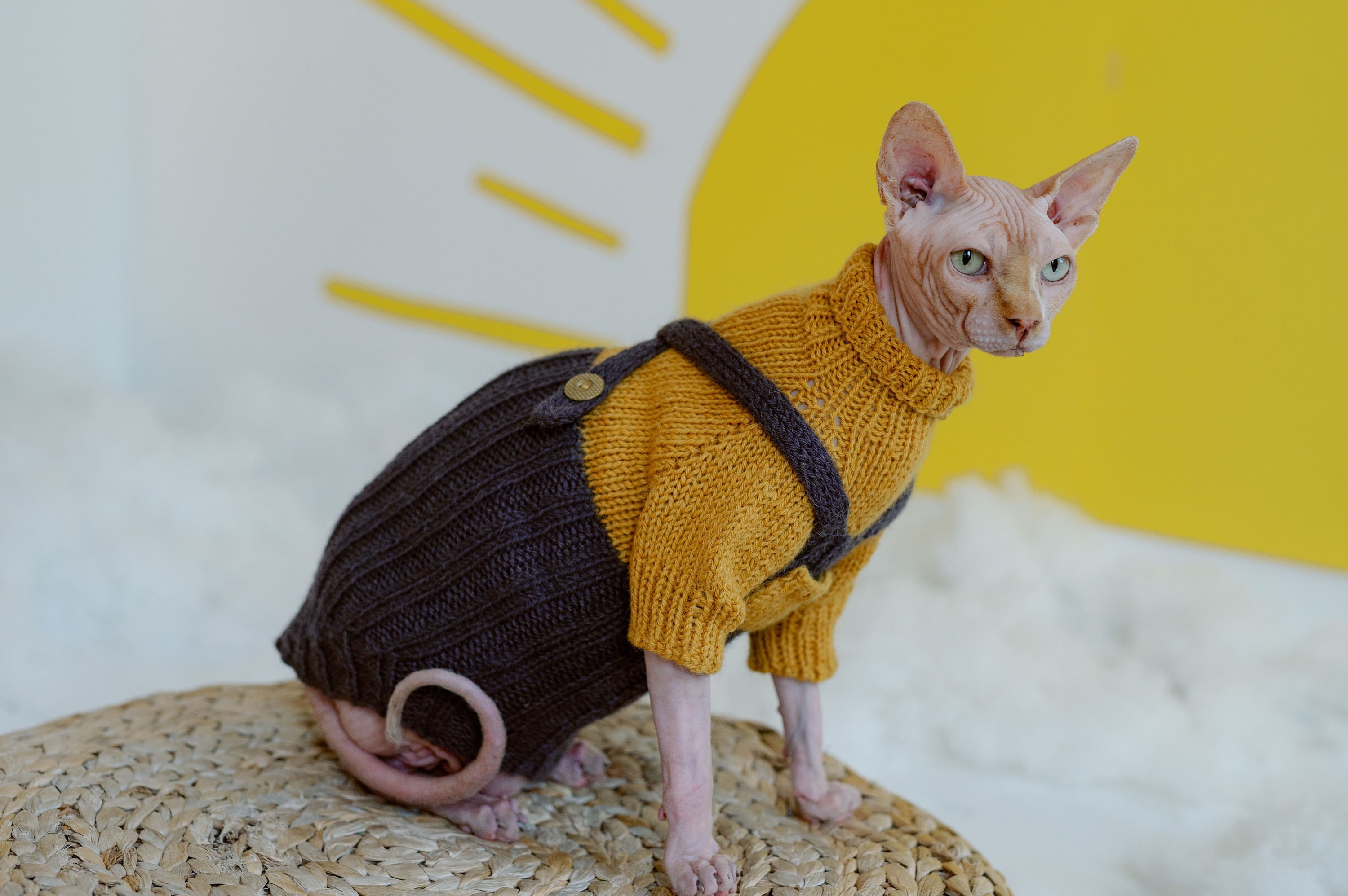 Hand Knit Sphynx Cat Jumpsuit Alpaca Wool Sweater for Cat 