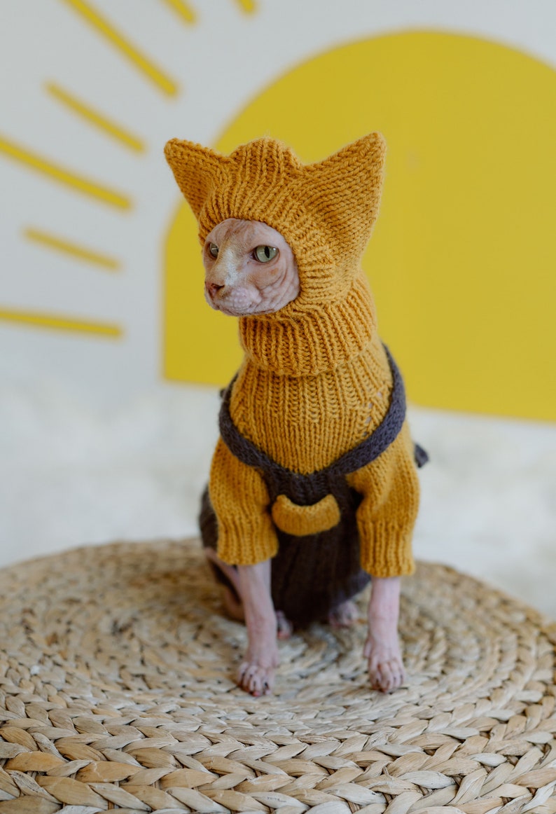 Cat Sweater and Hat Set Sphynx Cat Jumpsuit Hairless Cat Etsy